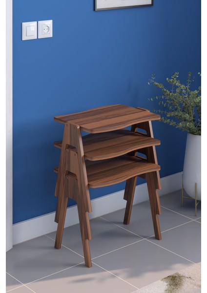 Bayrak Zigon Sehpa Seti Ceviz Gövde Ceviz Ayak