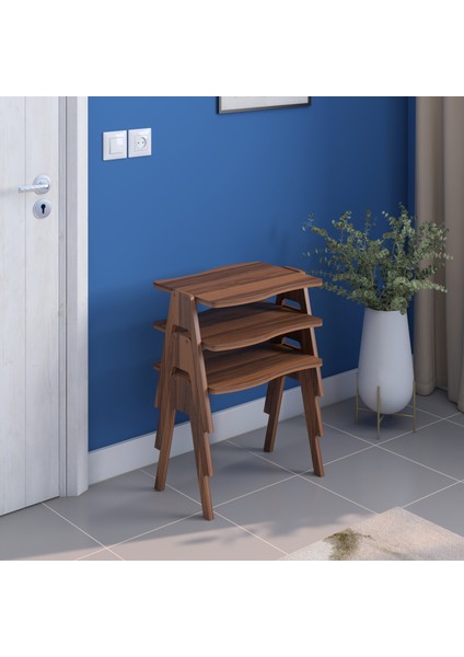 Bayrak Zigon Sehpa Seti Ceviz Gövde Ceviz Ayak modelleri