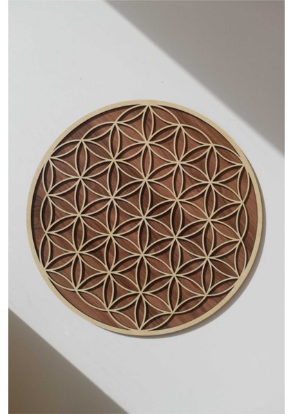 Iki Katmanlı Yaşam Çiçeği Duvar Dekoru