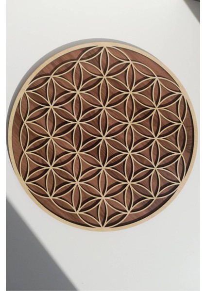 Iki Katmanlı Yaşam Çiçeği Duvar Dekoru fiyatları