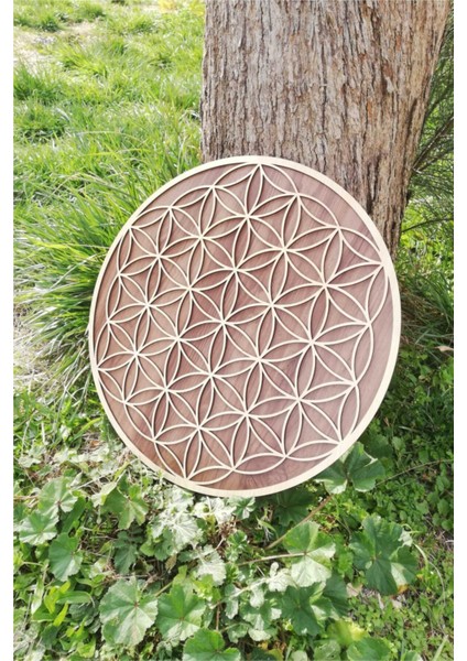 Iki Katmanlı Yaşam Çiçeği Duvar Dekoru modelleri