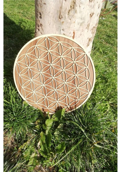 Iki Katmanlı Yaşam Çiçeği Duvar Dekoru fırsatları