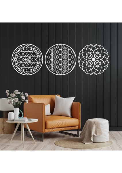 Beyaz 3'lü Yaşam Çiçeği Sri Yantra ve Torus 3'lü Set Duvar Tablosu fırsatları