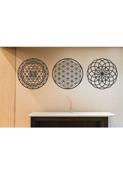 3'lü Kutsal Geometri Yaşam Çiçeği Sri Yantra Mandala ve Torus Duvar Dekoru,ahşap Dekoratif Tablo