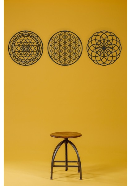 3'lü Kutsal Geometri Yaşam Çiçeği Sri Yantra Mandala ve Torus Duvar Dekoru,ahşap Dekoratif Tablo