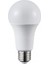12 Watt LED Ampul 1