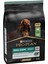 Small&mini Sensitive Digestion Kuzulu ve Pirinçli Küçük Irk Yetişkin Köpek Maması 3 kg 2