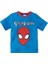 Spiderman Erkek Çocuk Tshirt 1