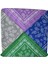 Bandana Renk 1