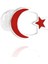 Türkiye Bayrağı Rozet Gümüş Ay Yıldız Yaka İğnesi 925 Ayar Gümüş Rozet TRZ-09 1