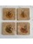 Taş Bardak Altlığı Stone Coasters - 4 Lü Set Modern Bohomian Temalı 1
