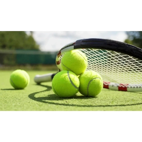 CK Spor Başlangıç Seviye Özel Fileli Pratik Taşınabilir 12 Adet Antrenman Için Tenis Topu Cks-20