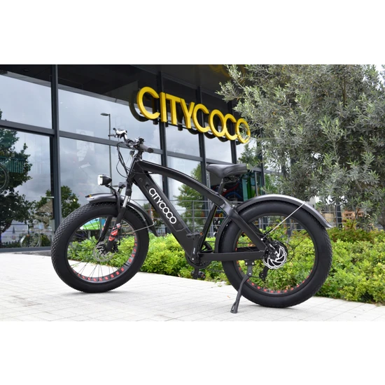 Citycoco Fatbike -250 Watt 24