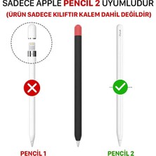 Basias Apple Pencil 2. Nesil Uyumlu Silikon Koruma Kılıfı (2 Silikon Başlık)