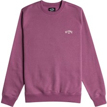 Billabong Arch Cr Erkek Mor Sweatshirt