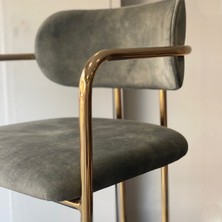 Alaylı Mobilya Alaylı (4 Adet) Metal Gold Aura Mutfak Sandalyesi, Aura Bar ve Lobi Sandalyesi