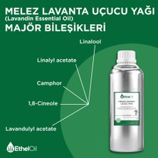 Etheloil Melez Lavanta(Lavandin) Uçucu Yağı 1 kg Lavandin Oil