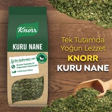 Knorr Baharat Serisi Kuru Nane 25 G X3