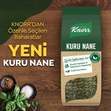 Knorr Baharat Serisi Kuru Nane 25 G X3