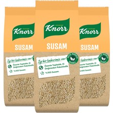 Knorr Baharat Serisi Susam 65 G X3