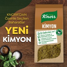 Knorr Baharat Serisi Kimyon 65 G X3