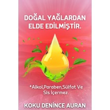 Karpuz Esansiyel Uçucu Koku Yağı Ortam Kokusu Doğal Yağ Sihirli Küre Hobi Esansı 100ml