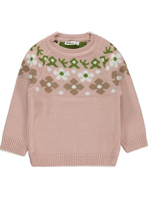 Civil Girls Kız Çocuk Kazak 2-5 Yaş Pudra