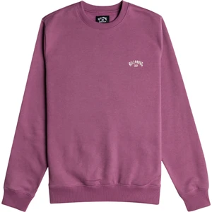 Arch Cr Erkek Mor Sweatshirt