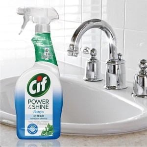 Power & Shine Banyo Sprey Temizleyici 750 ml