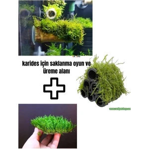 Canlı Petshop Karides Için Üreme Saklanma Yuvası + Oyun Alanı 3'lü Set Moss Sarılı Dekor