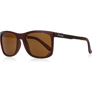 Unisex Güneş Gözlüğü Kahve Parlak Siyah Metal Gold Çizgili Sap 2003