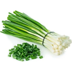 Köy Tohumları 150 Adet Tohum Yeşil Organik Hobi Bahçe Acısız Firik Soğan Saksı Toprak