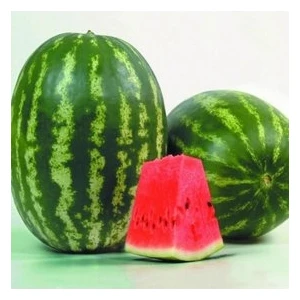 Köy Tohumları 50 Adet Tohum Orjinal Hobi Bahçe Diyarbakır Karpuz Tohumu Yeni Hasat Karpuz