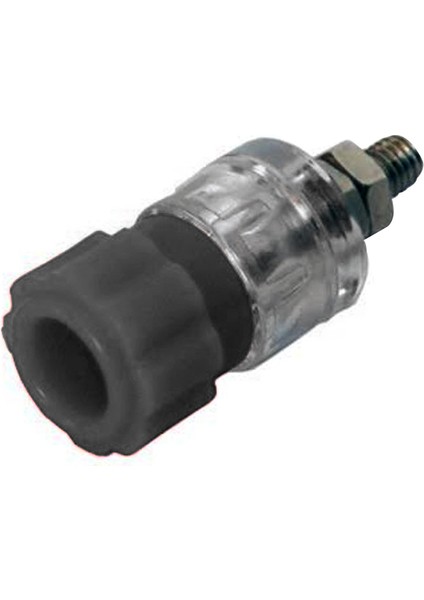 Orta Boy Şeffaf Siyah Born Klemens (IC-240C)