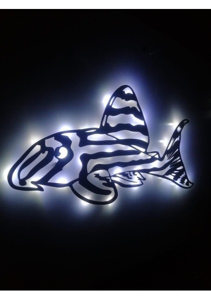 Akvaryum Balığı Tablosu Akvaryum Dekorasyon Frontoza Tropheus Maswa Oranda Goldfısh Arowana