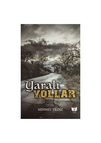 Yaralı Yollar - Mehmet Yıldız