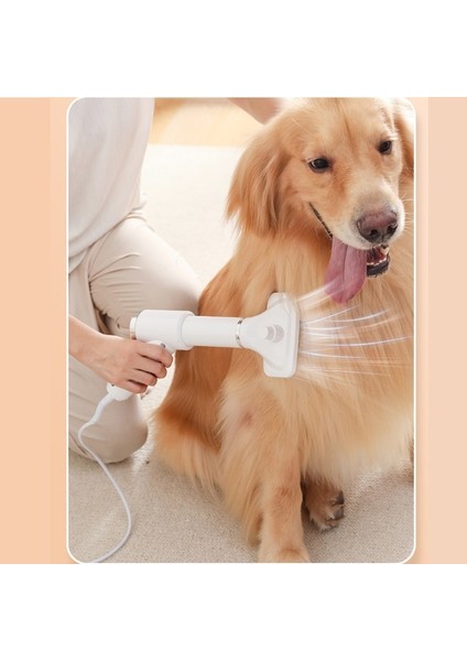 Pet Epilasyon Temizleme Fön Kuru Penye 4'ü 1 Arada Sıcak Hava Tarağı (Yurt Dışından) modelleri