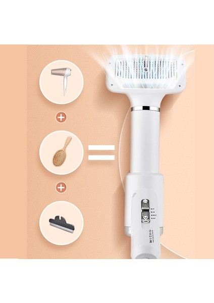 Pet Epilasyon Temizleme Fön Kuru Penye 4'ü 1 Arada Sıcak Hava Tarağı (Yurt Dışından) fırsatları