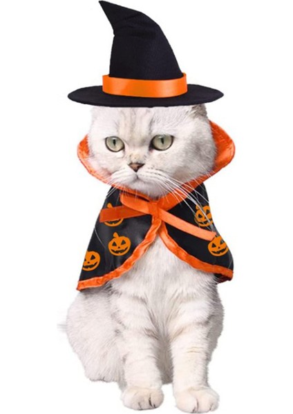 Cadılar Bayramı Kedi ve Köpek Evcil Hayvan Kostümü Sihirli Pelerin (Yurt Dışından) fiyatları