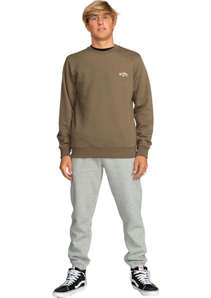 Arch Cr Erkek Kahverengi Sweatshirt indirimleri