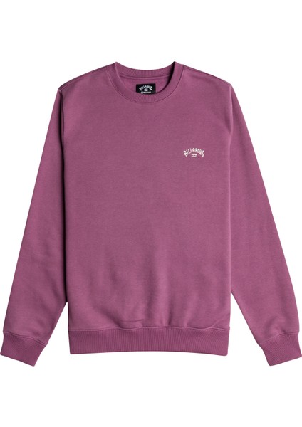 Arch Erkek Sweatshirt