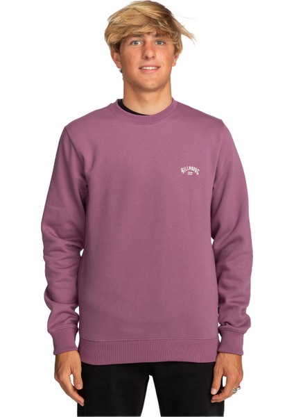 Arch Erkek Sweatshirt fiyatları