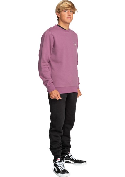 Arch Erkek Sweatshirt fırsatları