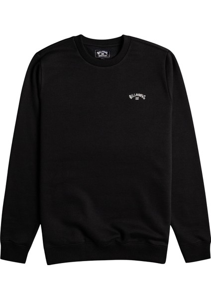 Arch Erkek Sweatshirt