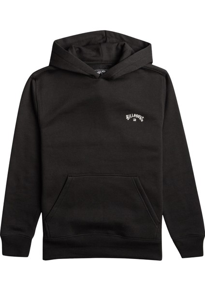 Arch Po Erkek Sweatshirt