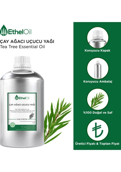 Çay Ağacı Uçucu Yağı - Etheloil - 5 kg - %100 Saf ve Doğal Uçucu Yağ - Üretici Firma, Yüksek Kalite, Toptan Satış - Tea Tree Essential Oil - Melaleuca Alternifolia (Maiden & Betche) Cheel