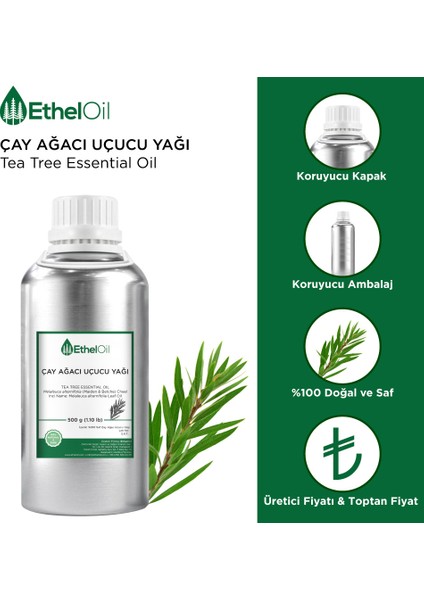 Çay Ağacı Uçucu Yağı - Etheloil - 500 gr - %100 Saf ve Doğal Uçucu Yağ - Üretici Firma, Yüksek Kalite, Toptan Satış - Tea Tree Essential Oil - Melaleuca Alternifolia (Maiden & Betche) Cheel fiyatları