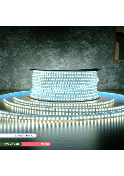 120 LED Li Şerit LED 6500K Ilık Beyaz 220V 10W 100M