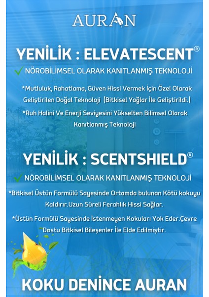 Okyanus Çubuklu Oda Kokusu Bambu Kokusu Kare Şişe Ocean Reed Diffuser 100ml