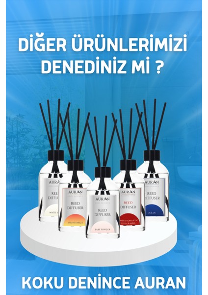 Okyanus Çubuklu Oda Kokusu Bambu Kokusu Kare Şişe Ocean Reed Diffuser 100ml